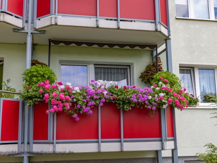 Roter Balkon mit bunten Blumen